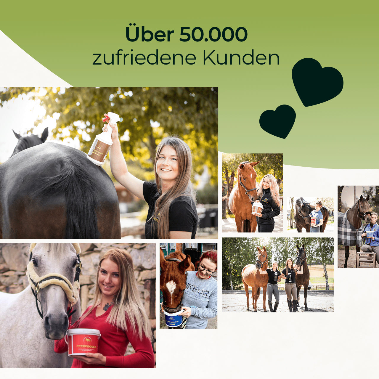 Pferdegold® Zink – Triple-Zink-Formel Ergänzungsfutter für Pferde 1,5 kg