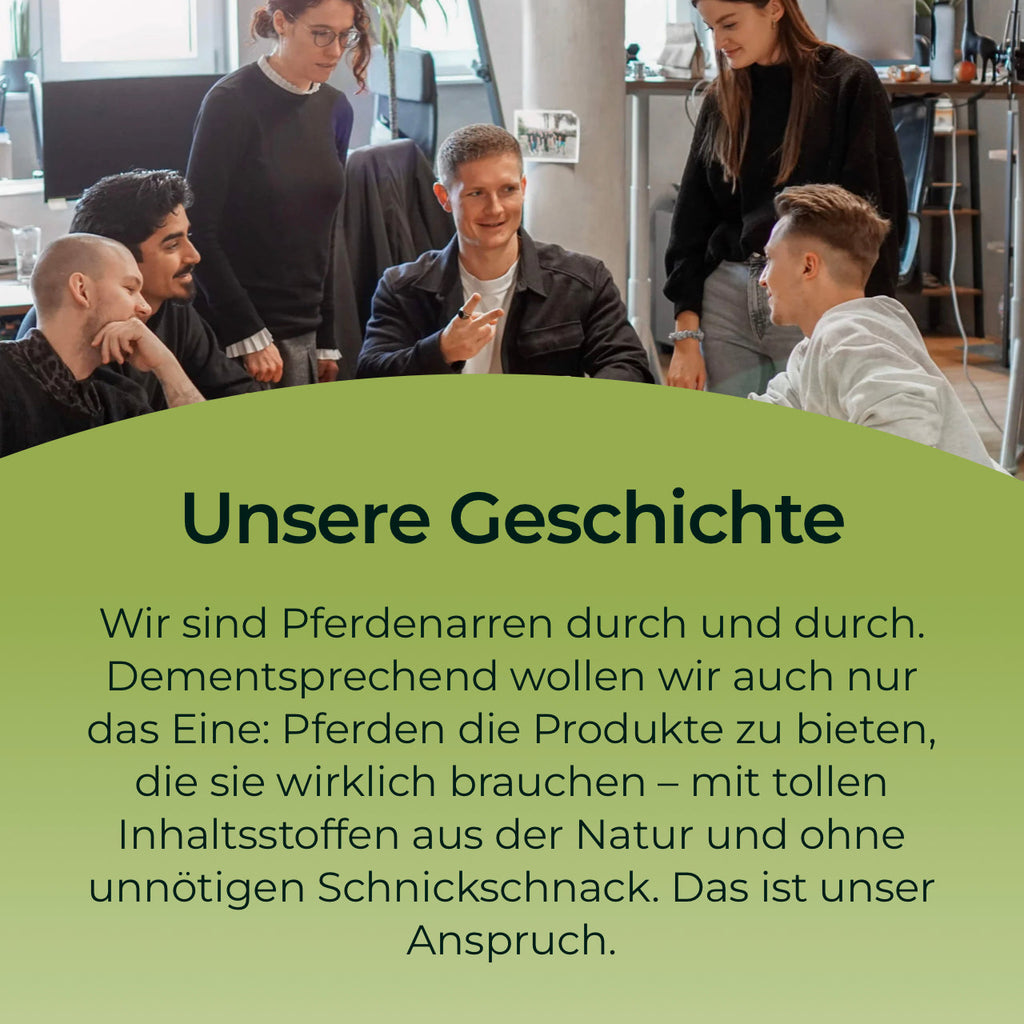 Pferdegold® Zink – Triple-Zink-Formel Ergänzungsfutter für Pferde 1,5 kg