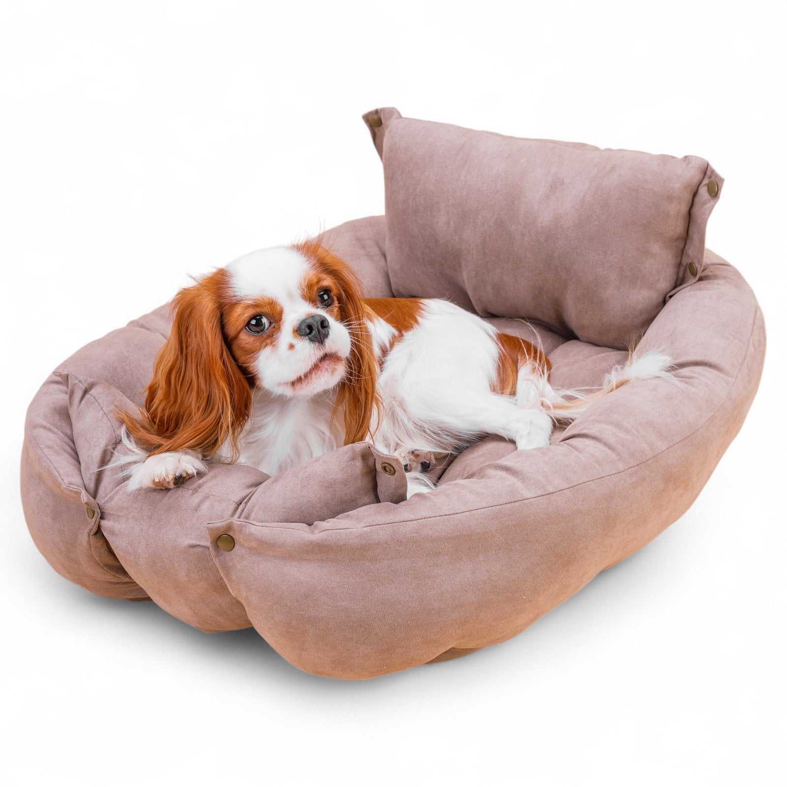 Leichte Matte mit Kissen mit drei verschiedenen Liegemöglichkeiten - TierVita