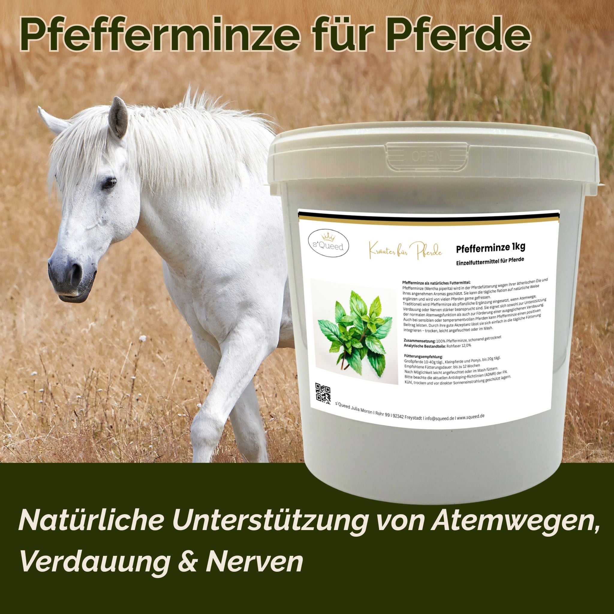 Pfefferminze Pferd 1kg - TierVita