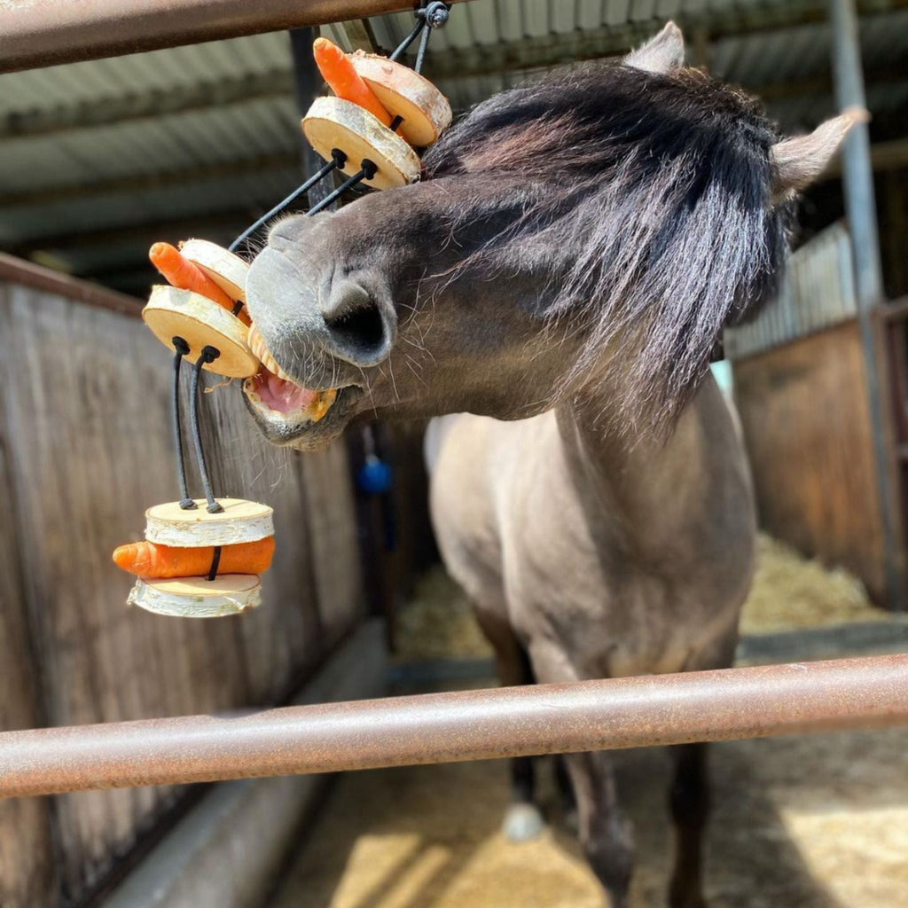 Pferdespielzeug Mini-Tarzan - Spielzeug für Pferde und Ponys gegen Langeweile - Pferdebeschäftigung - TierVita