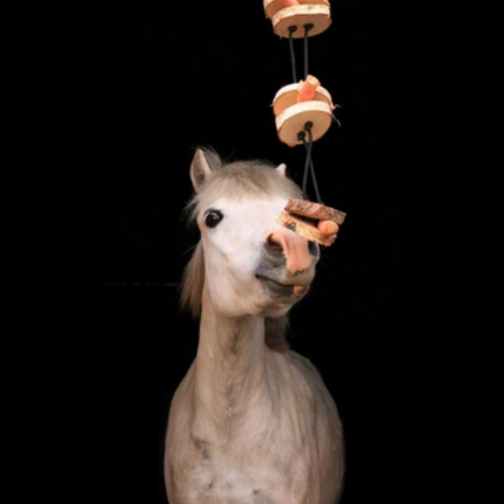 Pferdespielzeug Mini-Tarzan - Spielzeug für Pferde und Ponys gegen Langeweile - Pferdebeschäftigung - TierVita