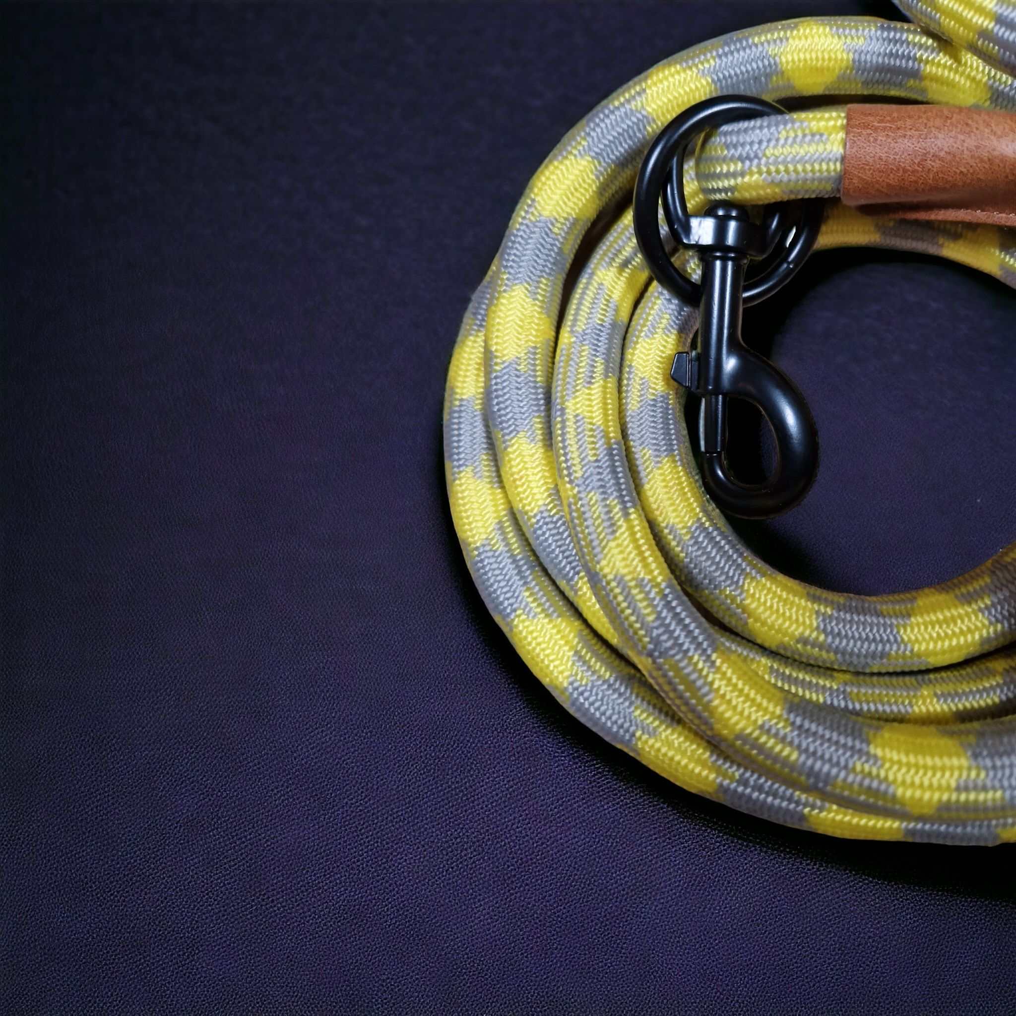 Hundeleine grau gelb Angebot mit gratis Tauseil zum spielen und zerren - TierVita