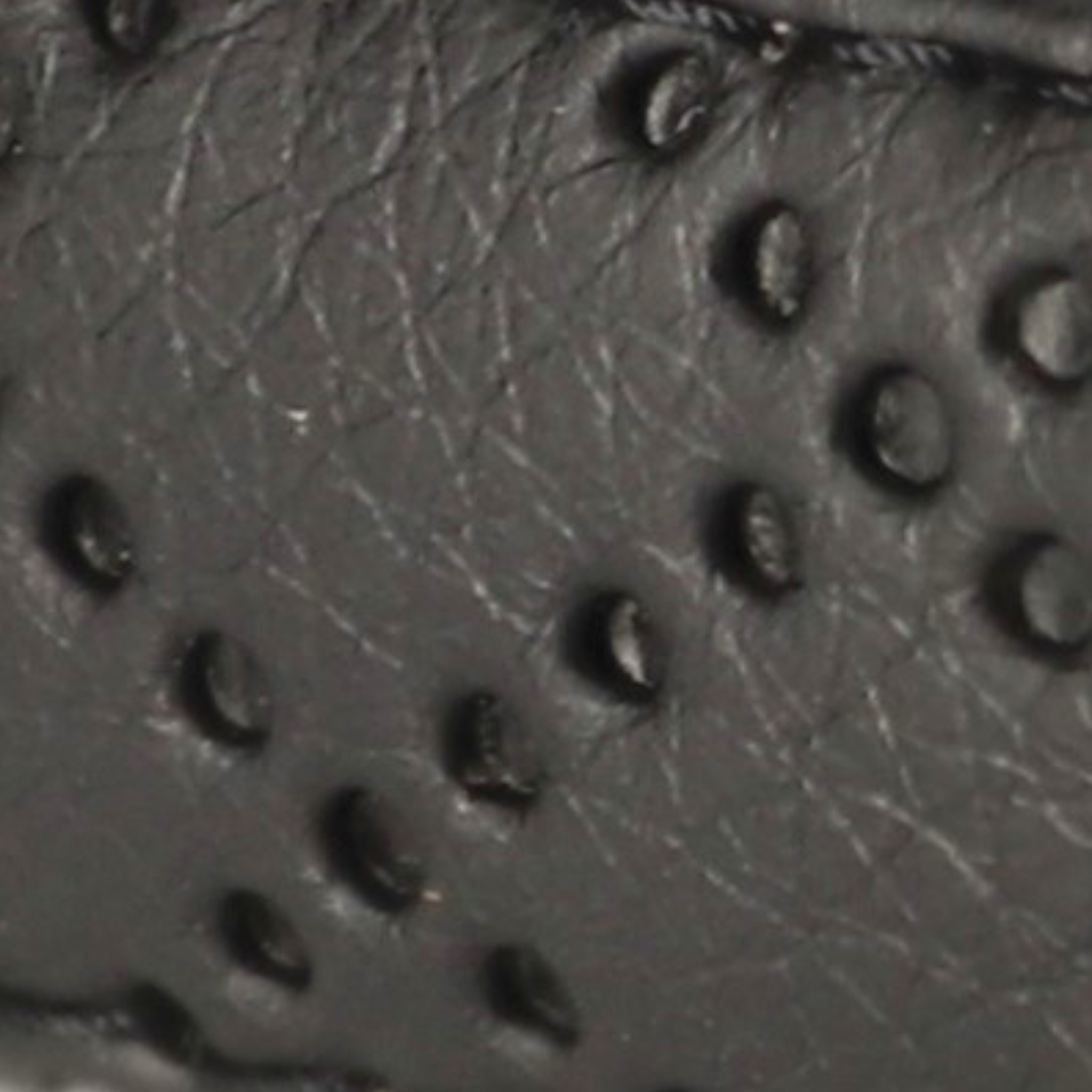 Leine Khakigrün Aus Nylon Längenverstellbar Im Rautendesign - TierVita