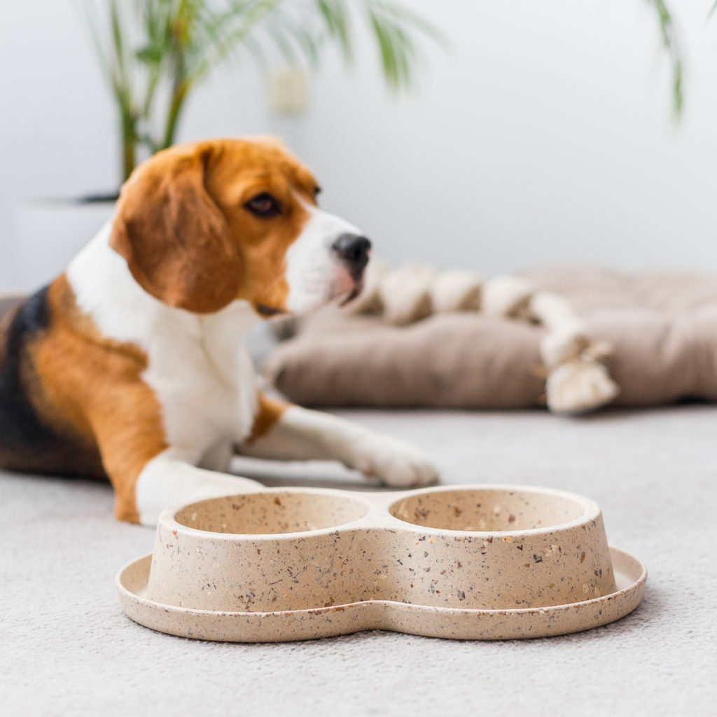 Nachhaltiger Biokunststoff Doppelfressnapf aus Bambus und Kaffeebohnen - TierVita