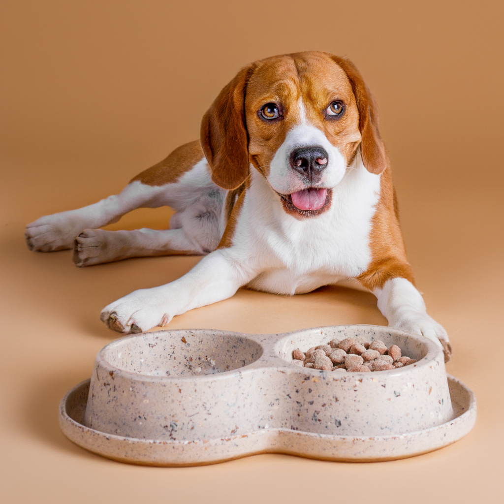 Nachhaltiger Biokunststoff Doppelfressnapf aus Bambus und Kaffeebohnen - TierVita