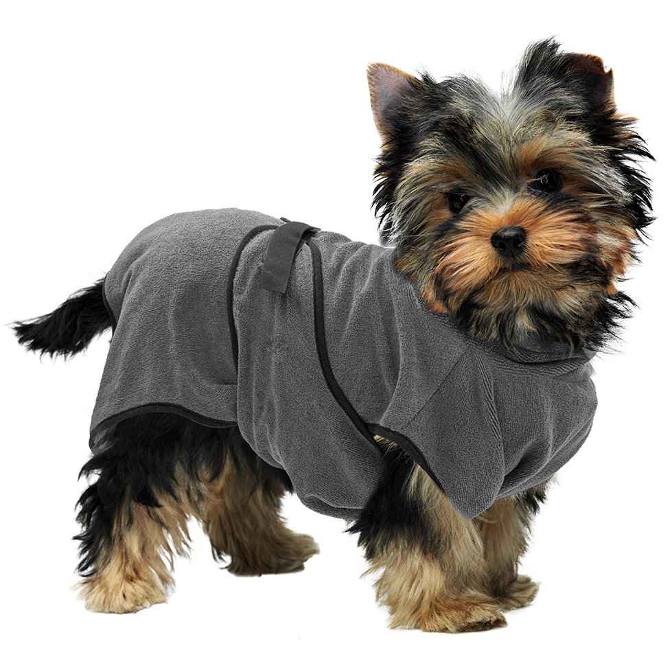 Royal Dry Bademantel Für Hunde XS