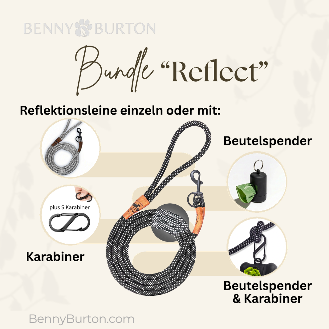 Reflektionsleine GLOW stark reflektierend mit Handschlaufe und vegan