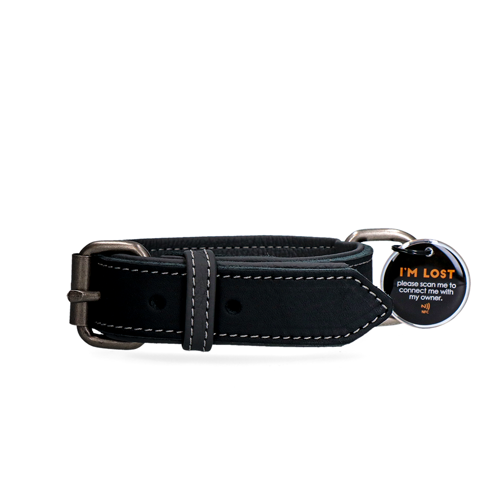 Spotted! Pro Lederhalsband Schwarz 2,5 x 40 cm
