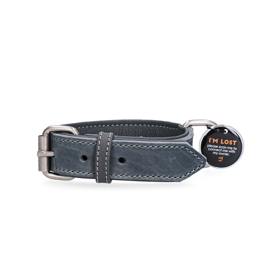 Spotted! Pro Lederhalsband Grau 3 x 60 cm