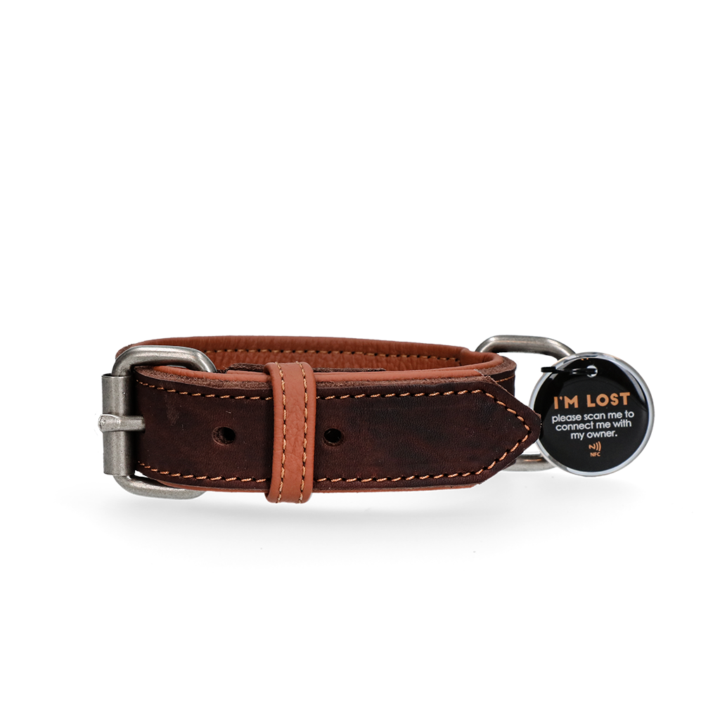 Spotted! Pro Lederhalsband Braun 2,5 x 40 cm