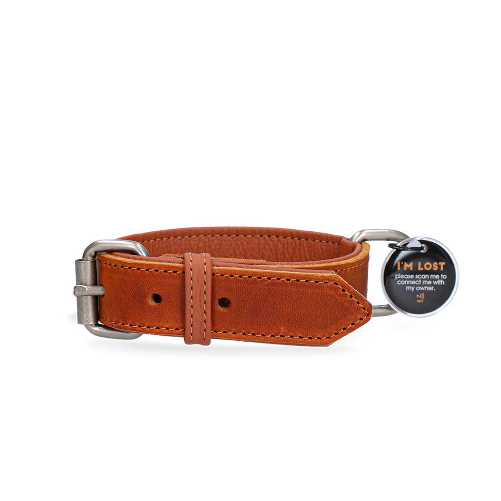 Spotted! Pro Lederhalsband Cognac – 3 cm breit, 65 cm