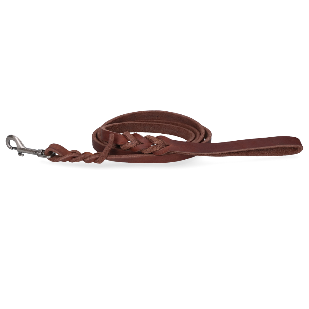 Spotted! Pro Leder Führleine Braun 1,2 x 180cm (Bolzenhaken)