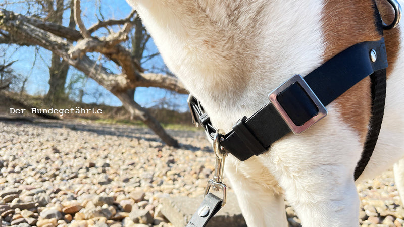 Anti-Stress-Geschirr STURMFREI®, Größe S für Kraftprotze