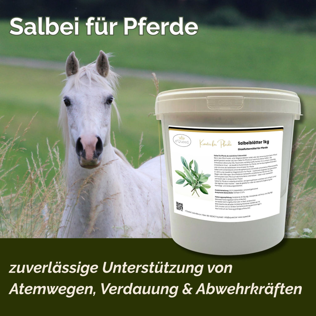 Salbei Pferd 1kg - TierVita