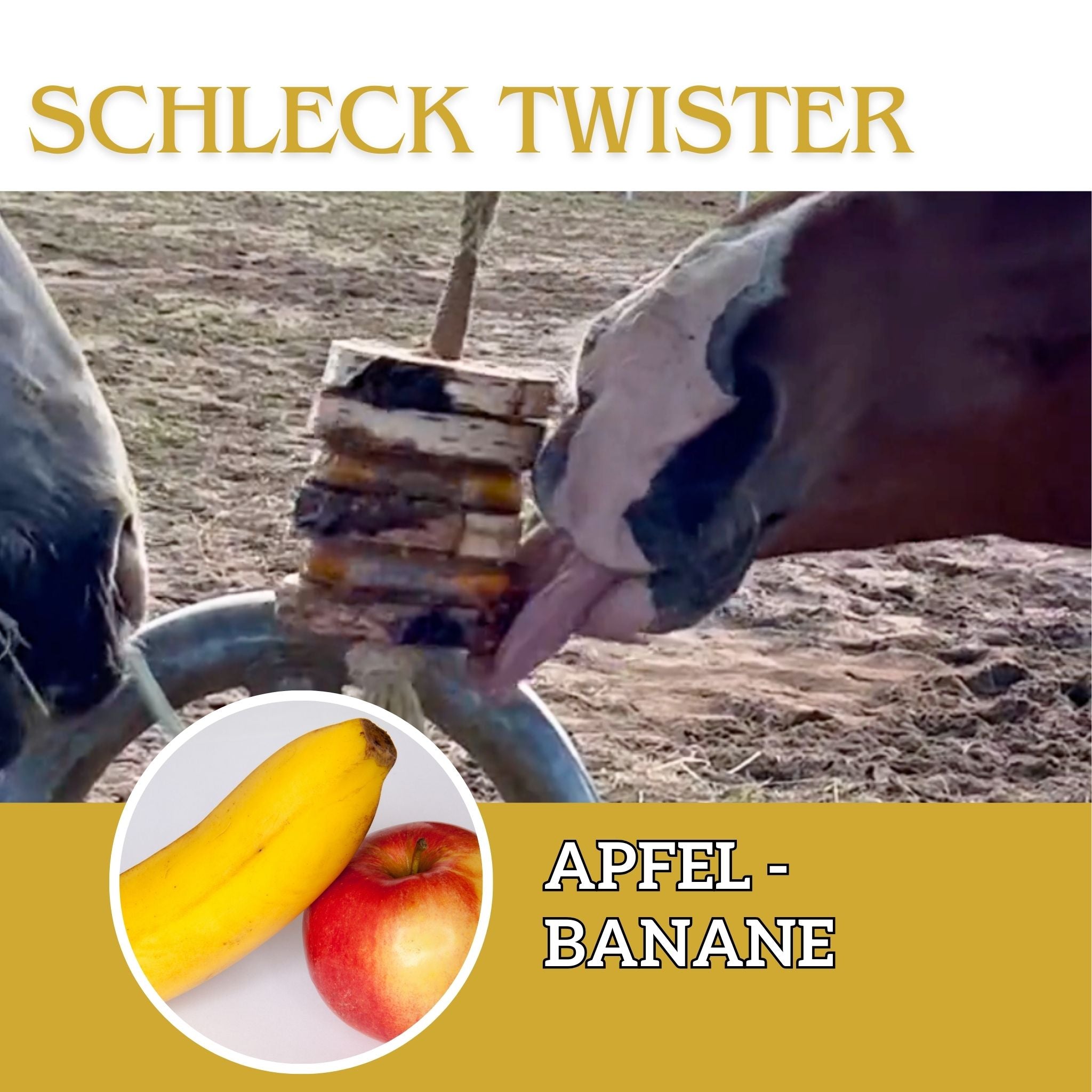 Schleck Twister Spielzeug für Pferde; Set aus Birkenholzhalterung und 2 Schleck Twister Scheiben deiner Wahl - TierVita