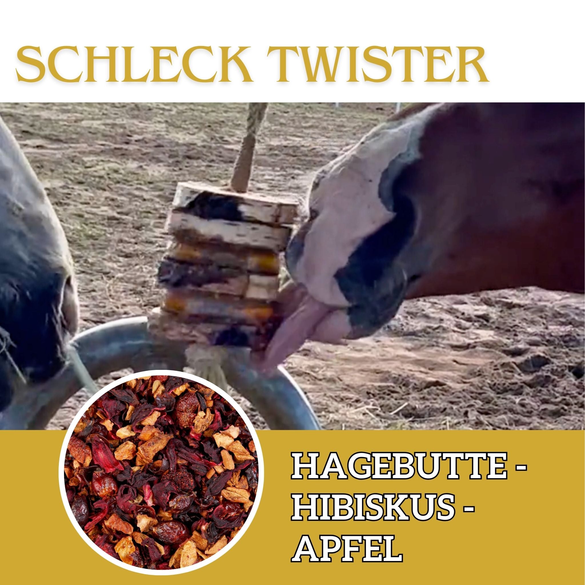 Schleck Twister Scheiben für Schleck Twister Pferdespielzeuge - TierVita