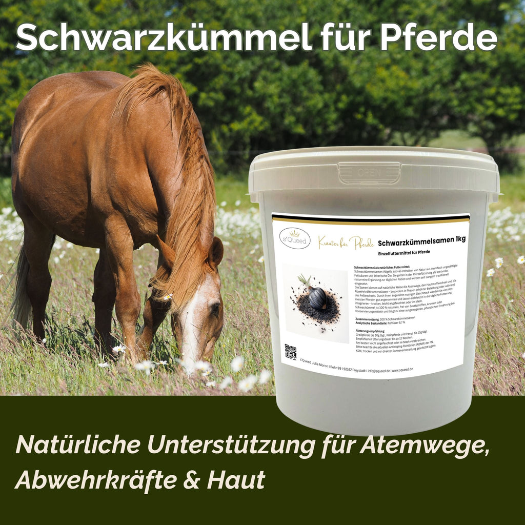 Schwarzkümmel Pferd 1kg - TierVita