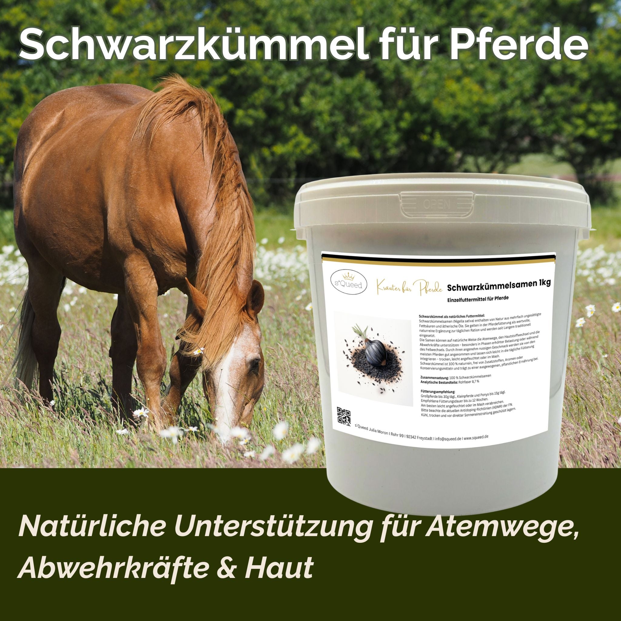 Schwarzkümmel Pferd 1kg - TierVita