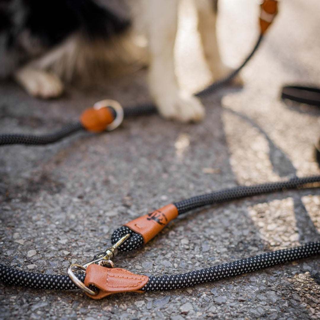 Reflektionsleine GLOW stark reflektierend längenverstellbar und vegan - TierVita