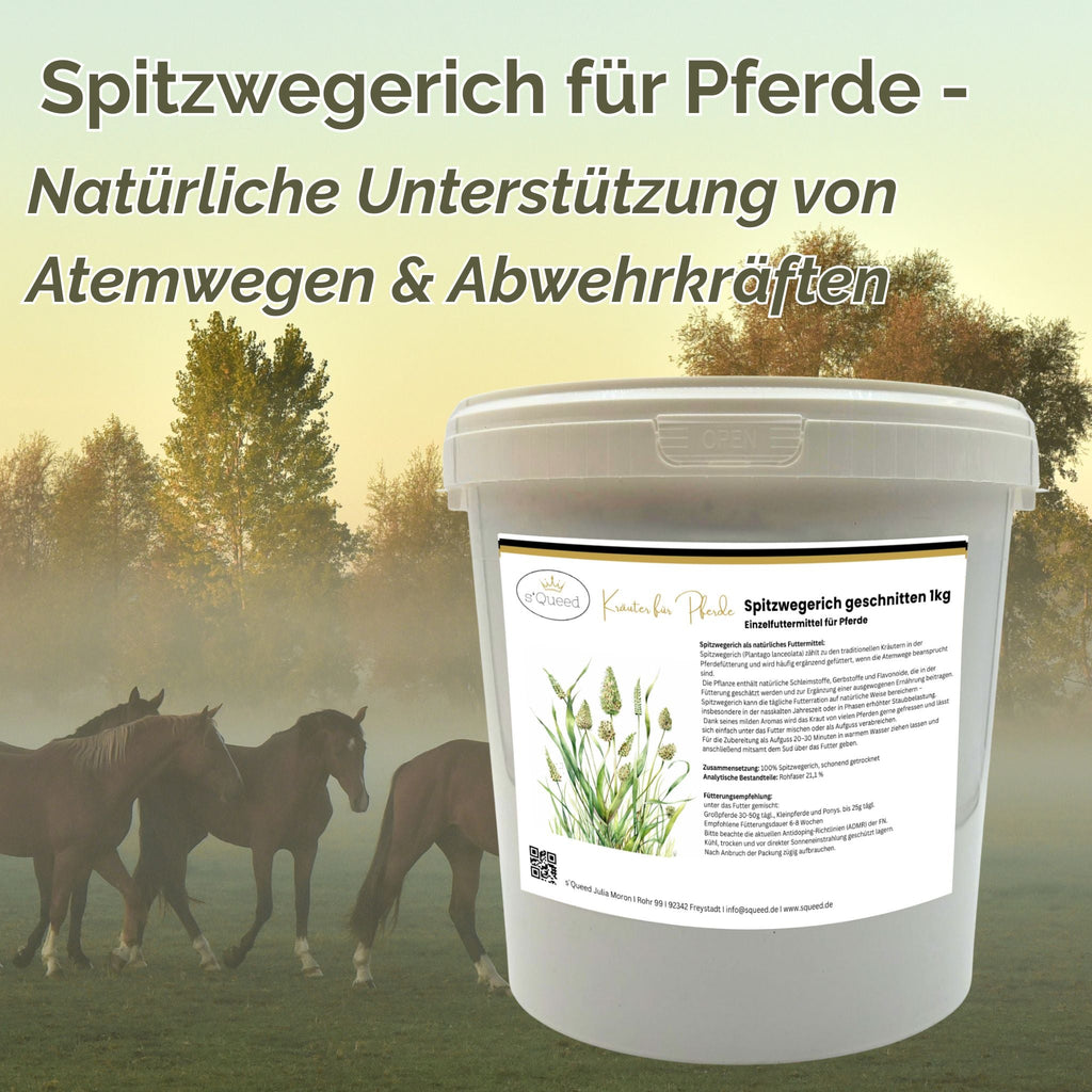 Spitzwegerich Pferd 1kg - TierVita