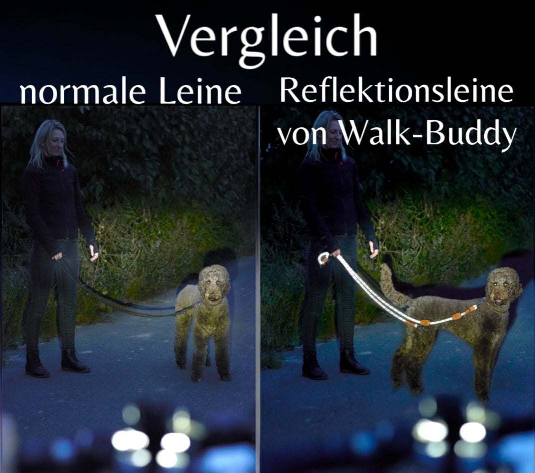 Reflektionsleine GLOW stark reflektierend längenverstellbar und vegan - TierVita