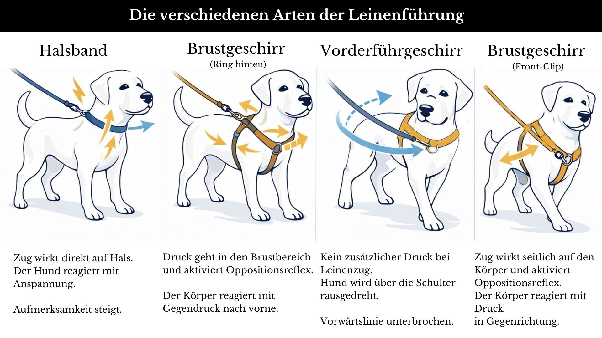 Anti-Stress-Geschirr STURMFREI® Saver für sehr kleine Hunde
