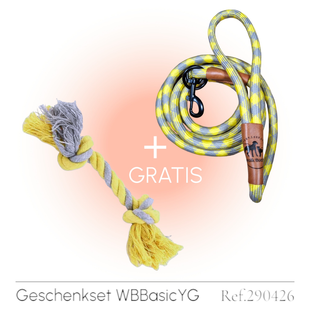 Hundeleine grau gelb Angebot mit gratis Tauseil zum spielen und zerren - TierVita