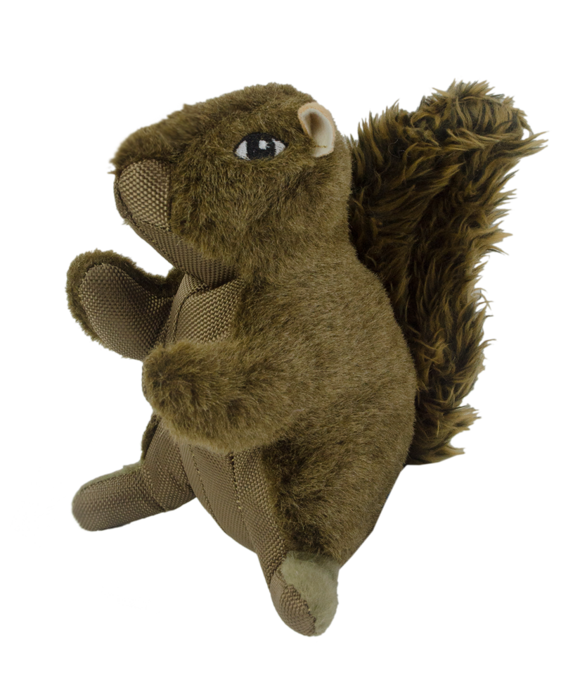 Wild Life Dog Eichhörnchen