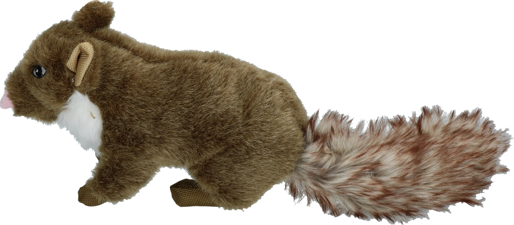 Wild Life Dog Marder