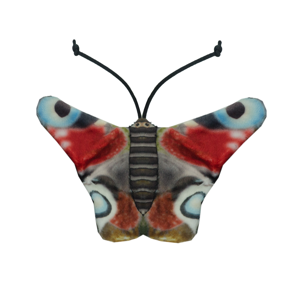 Wild Life Cat Tagpfauenauge