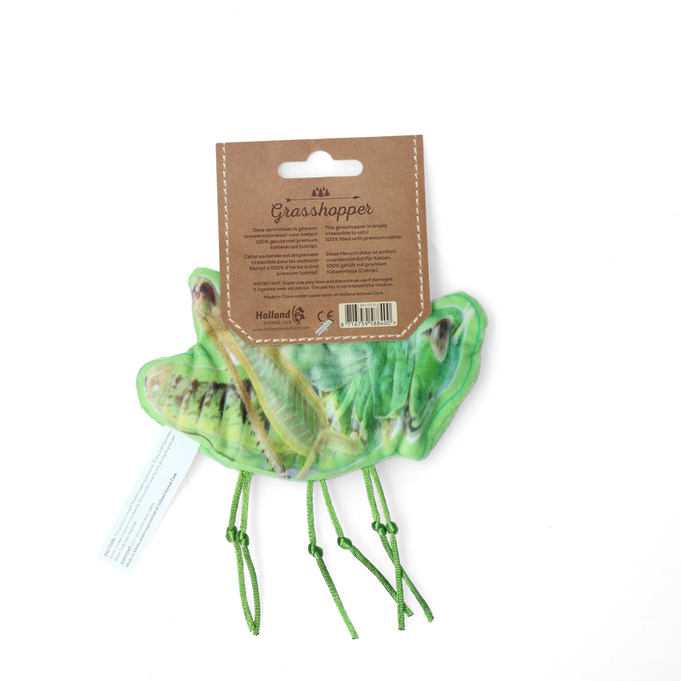 Wild Life Cat Heuschrecke