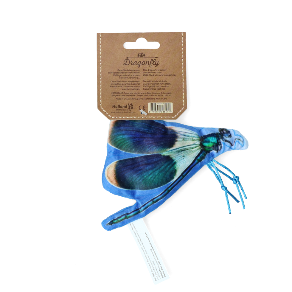 Wild Life Cat Libelle