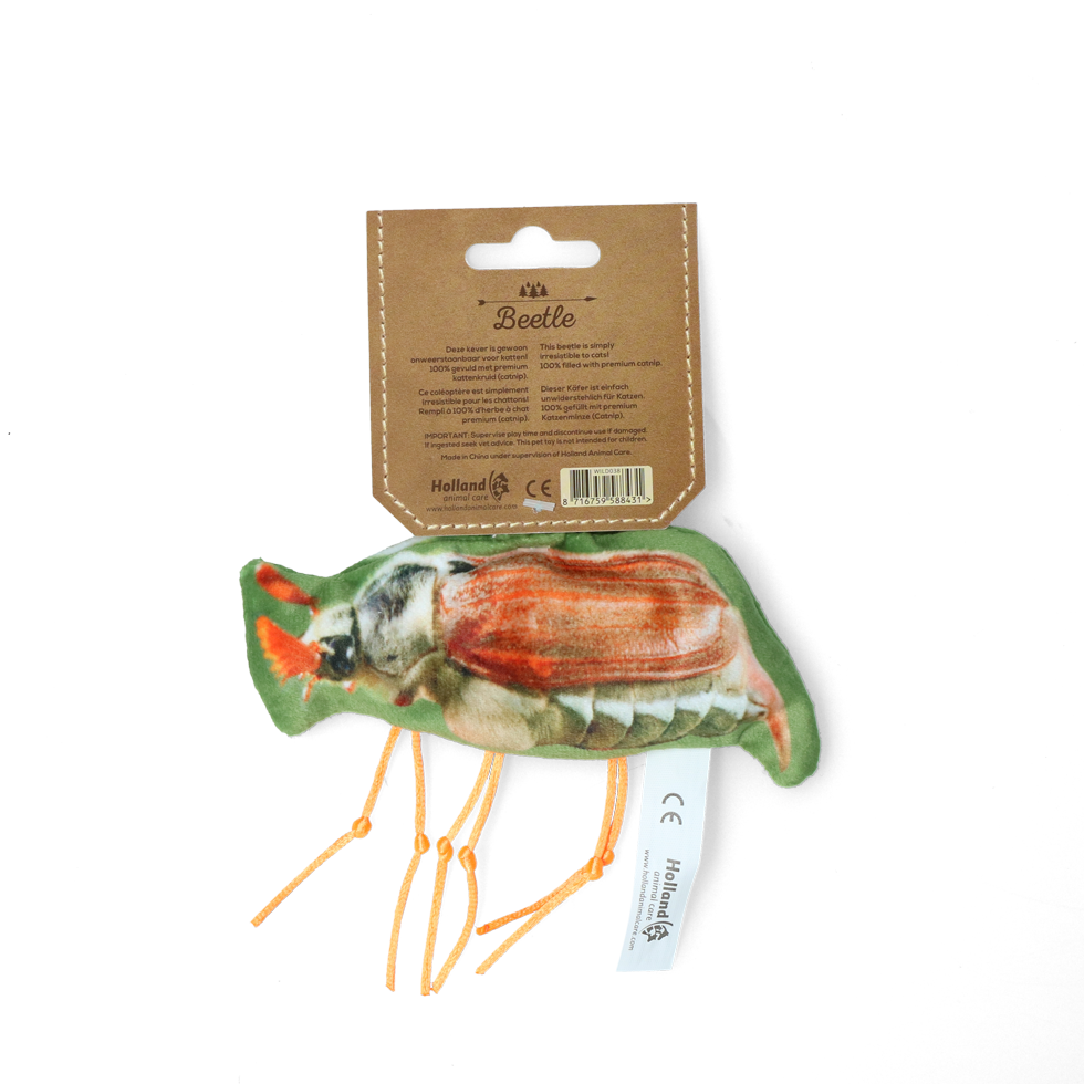 Wild Life Cat Käfer