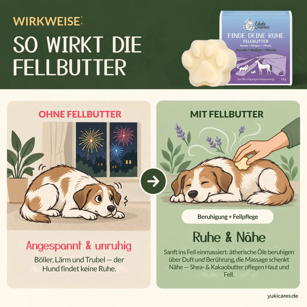 Fellbutter Cool down