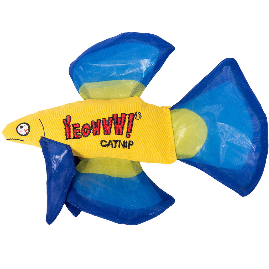 Yeowww! Mo Betta Fish Blue