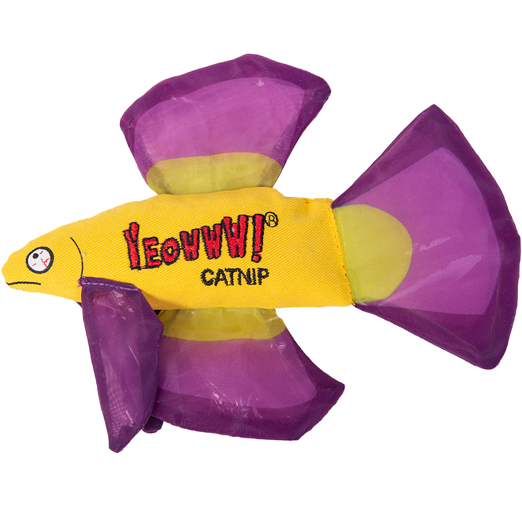 Yeowww! Mo Betta Fish Purple