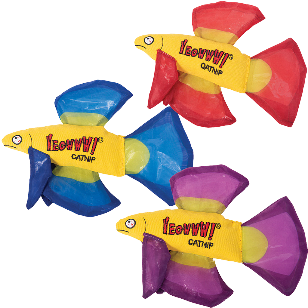 Yeowww! Mo Betta Fish Purple