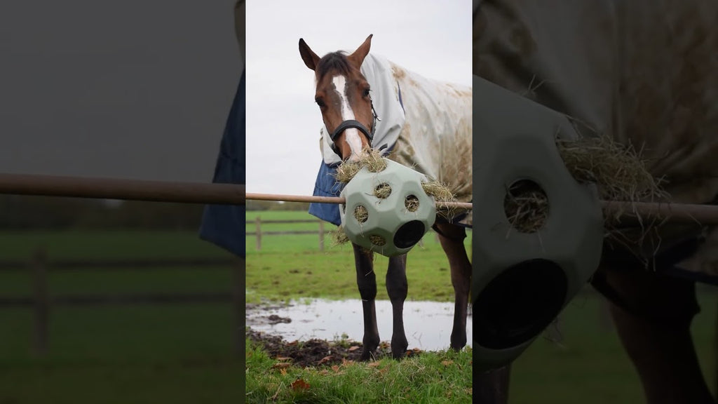 Excellent Horse Feed & Play Ball Grün