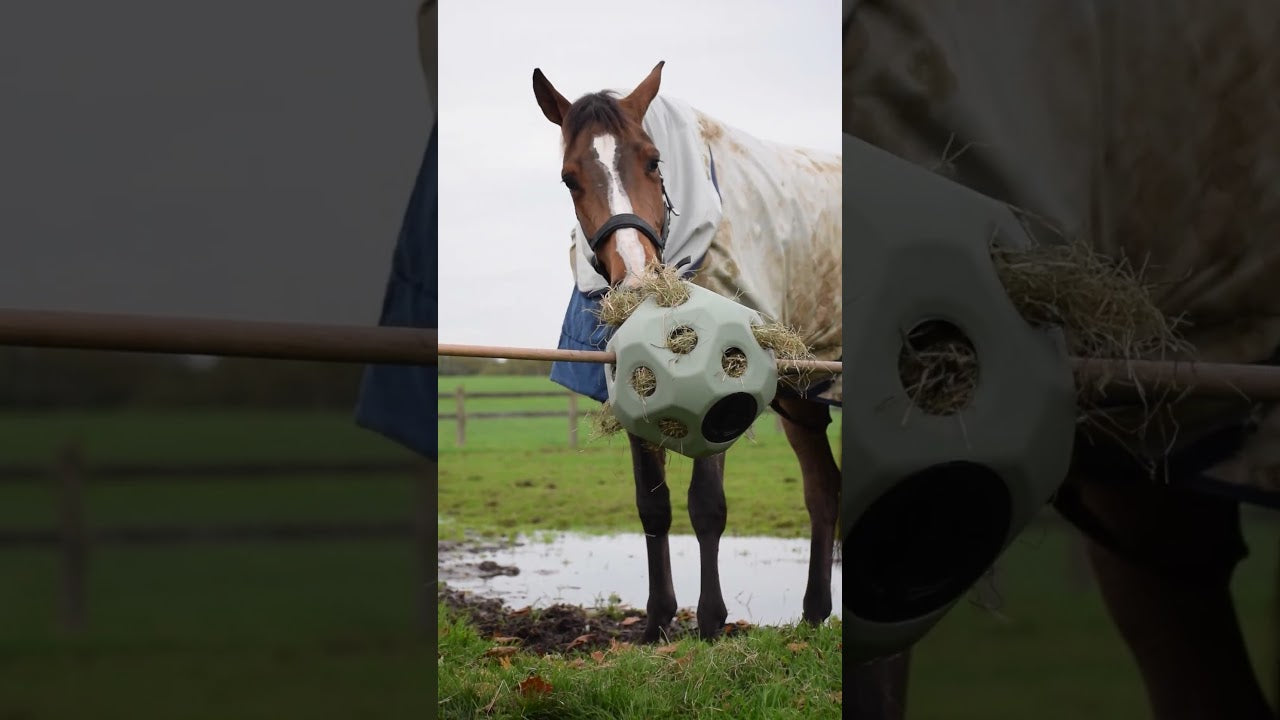 Excellent Horse Feed & Play Ball Grün