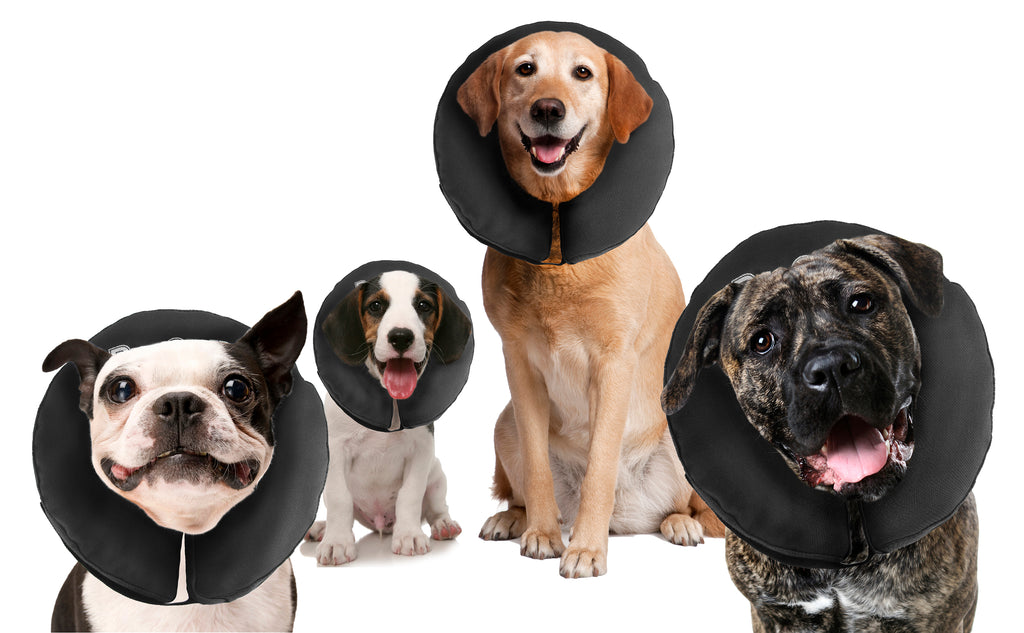 Zenpet ProCollar Halskrause Größe S – Für Hunde & Katzen