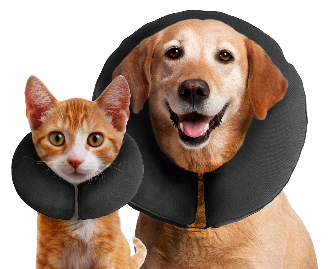 Zenpet ProCollar Halskrause Größe S – Für Hunde & Katzen