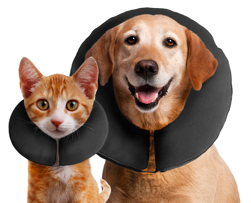Zenpet ProCollar Halskrause Größe M – Sanfte Genesungshilfe für Hunde