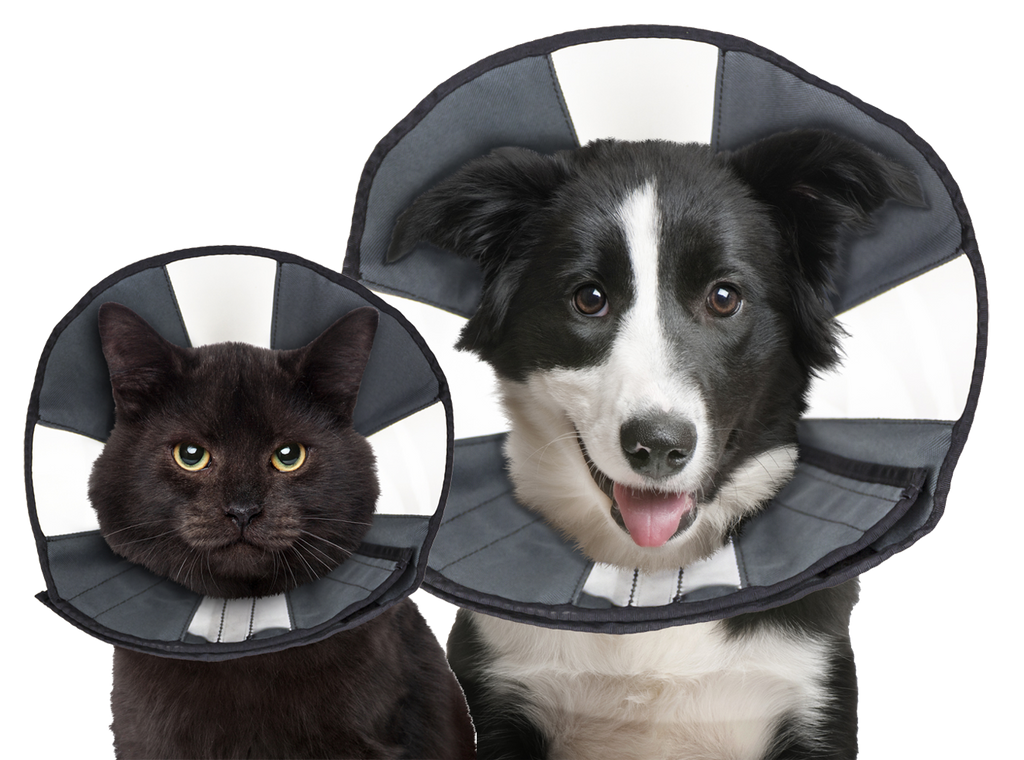 Halskrause ProCone S für Hunde & Katzen – Zenpet