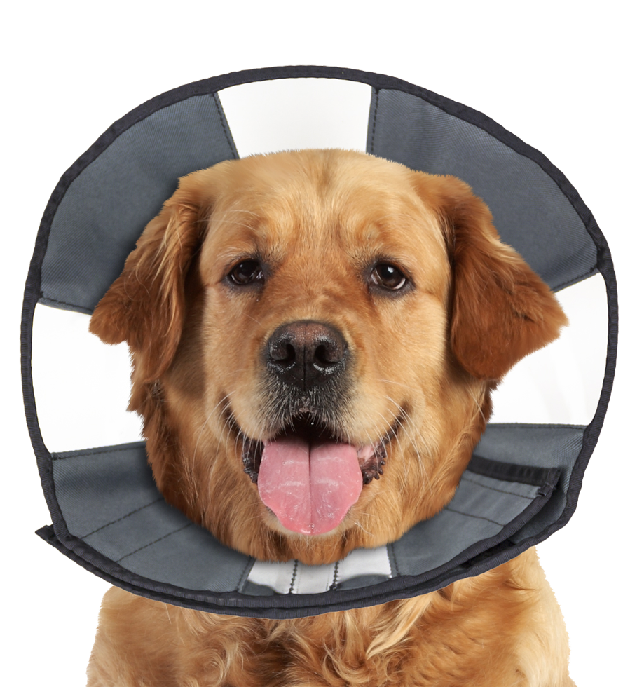 Zenpet ProCone XL Halskrause Hund – Weicher Schutzkragen statt Trichter