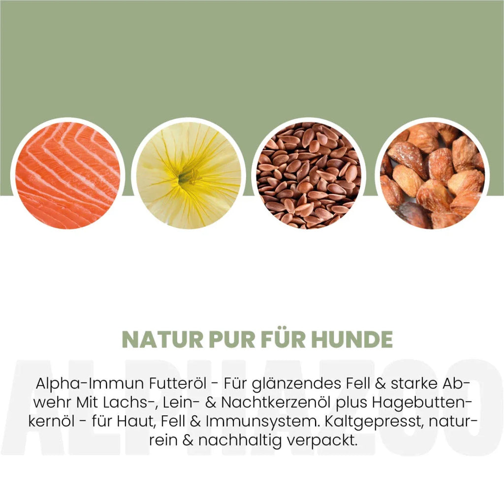 Alpha-Immun Futteröl für Hunde – Lachs, Lein, Nachtkerze & Hagebutte kaltgepresst