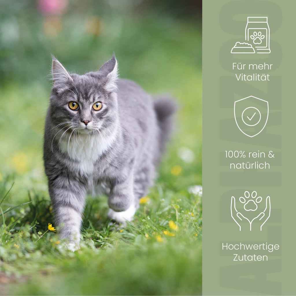 Alpha-Immun Futteröl für Katzen – Lachs, Lein, Nachtkerze & Hagebutte kaltgepresst