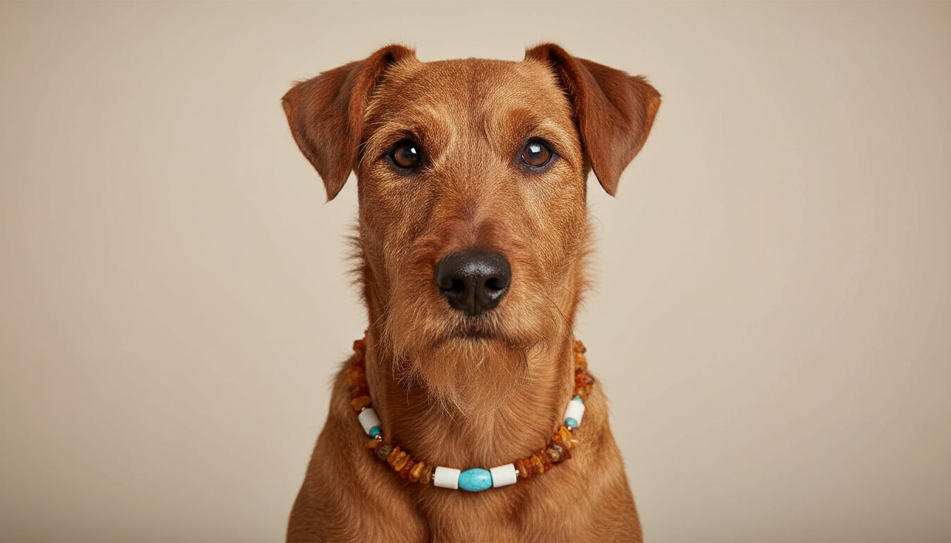 amberdog Hunde Bernsteinkette mit EM-Keramik Howlith Länge 45cm - TierVita