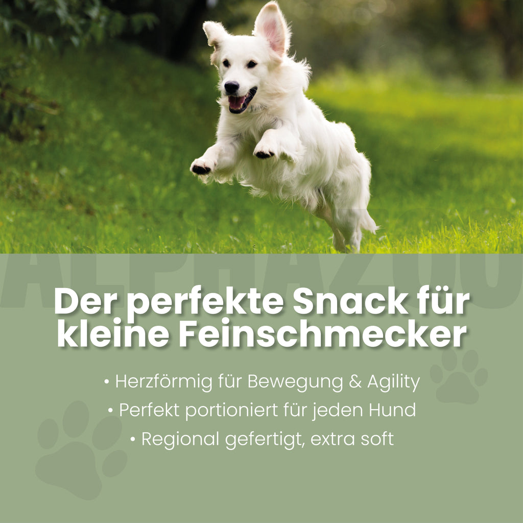 Auf Dem Sprung – Gelenksnack für Hunde mit Glucosamin, Chondroitin & MSM