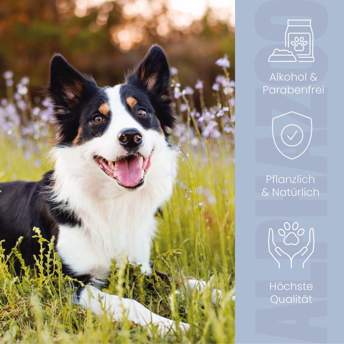 Brandlöscher Anti-Juckreiz Spray für Hunde – pflanzlich mit Kamille & Calendula